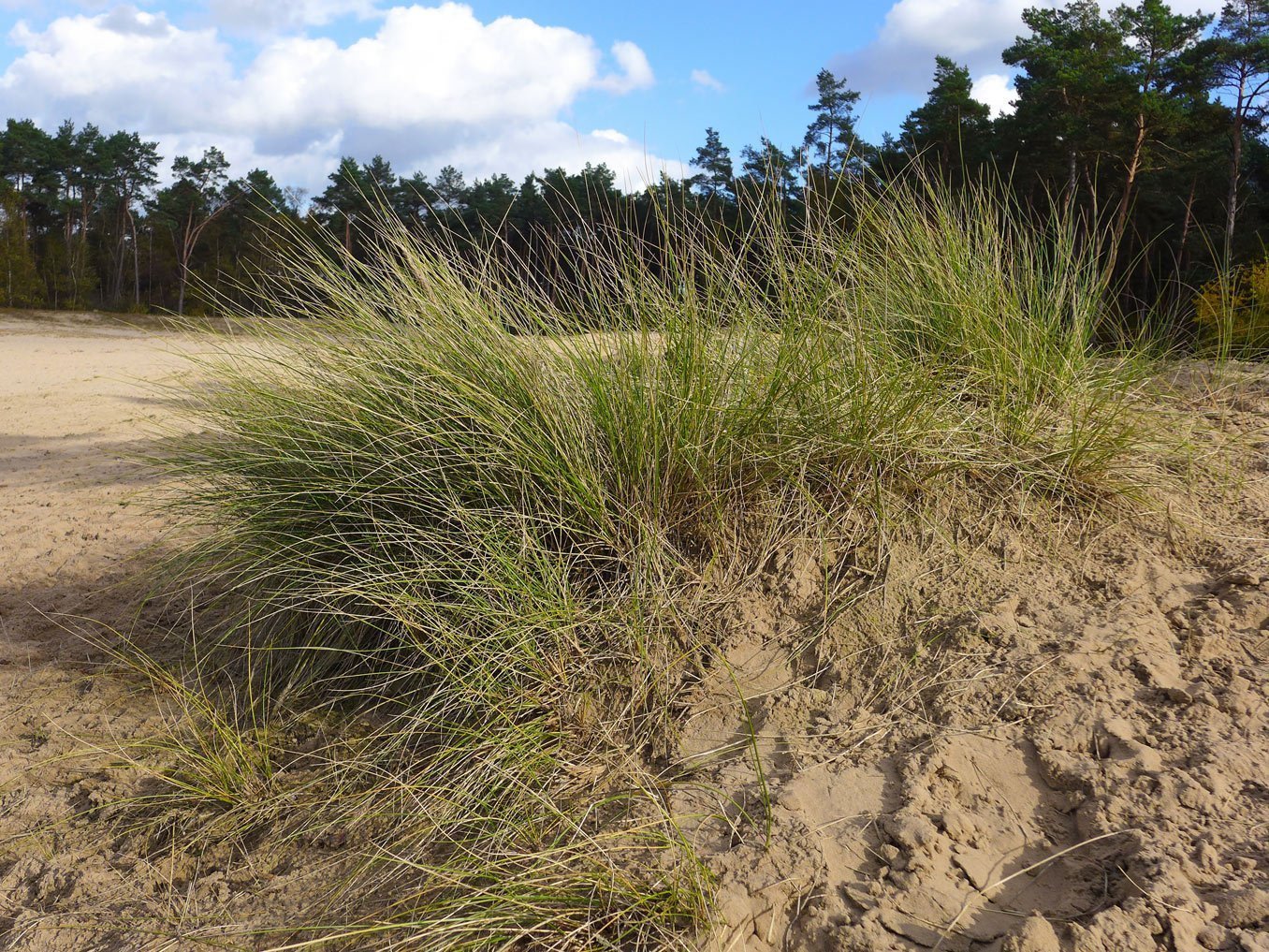 Sand und mehr