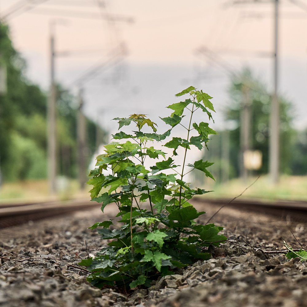 Geschichte kennt keine Endstation