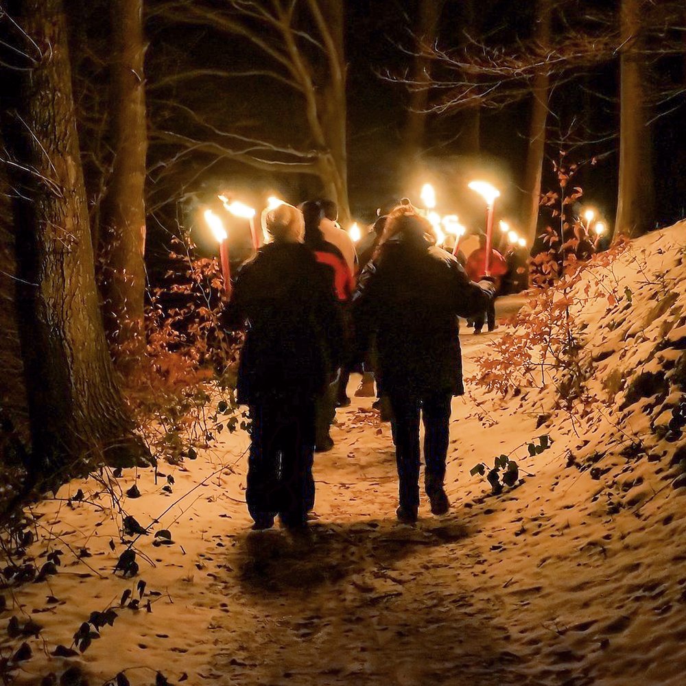 Waldabenteuer im Winter